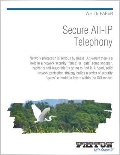 White Paper: Patton Secure All-IP Telephone